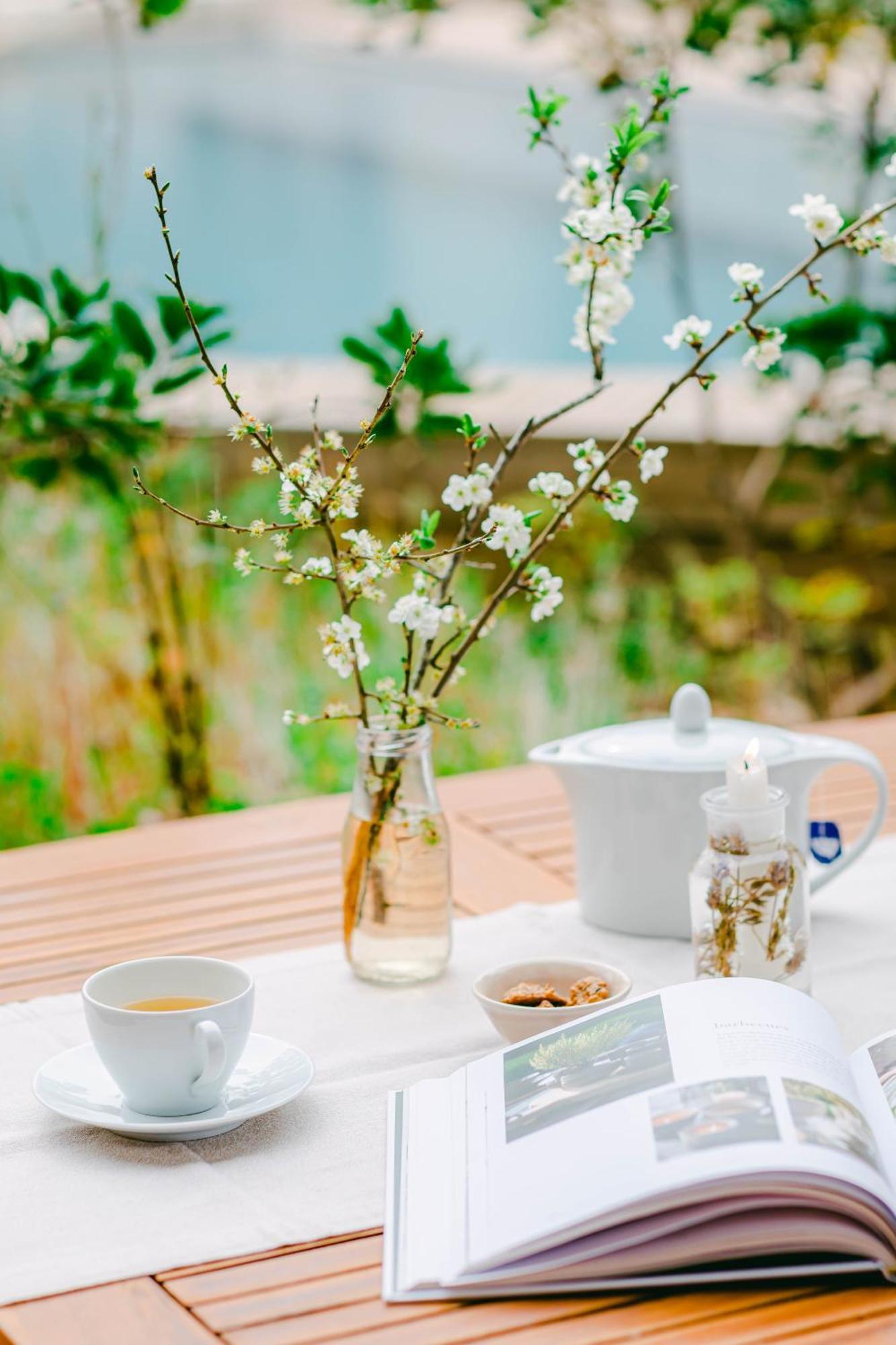 The Nest By Cooking And Nature Alvados Buitenkant foto