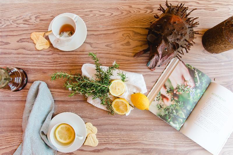 The Nest By Cooking And Nature Alvados Buitenkant foto